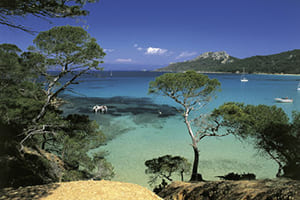 les plages de rve autour de Cannes